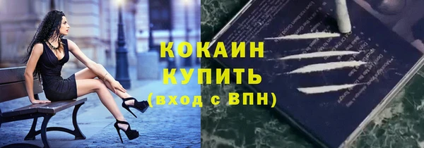 спайс Ладушкин