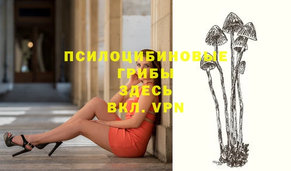 винт Алексеевка