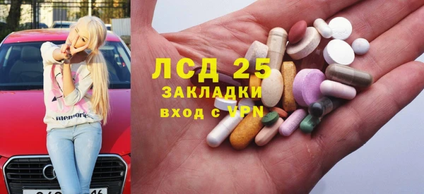 сатива Алзамай