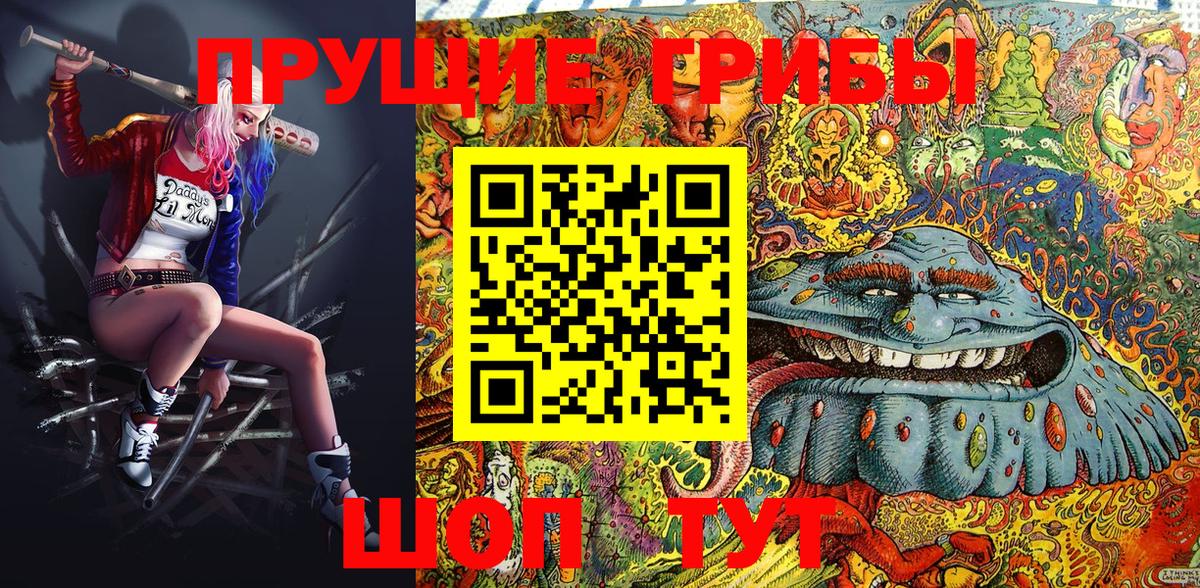 Галлюциногенные грибы Psilocybe Лесосибирск