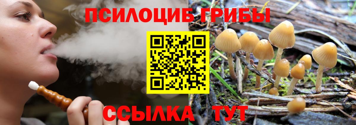 магазин  наркотиков  Галлюциногенные грибы Psilocybine cubensis  Вход с VPN  Лесосибирск 